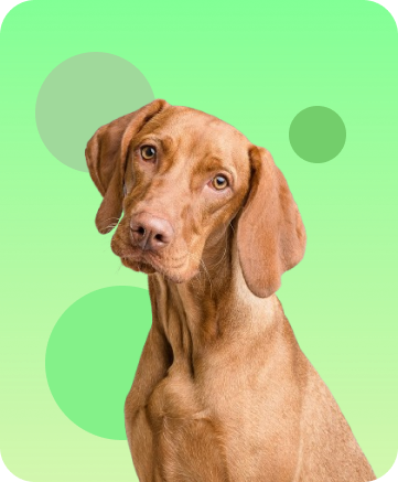 O nama - Pričuvajme