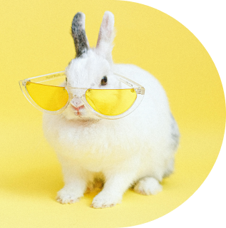 Srećan pas sa čuvarom