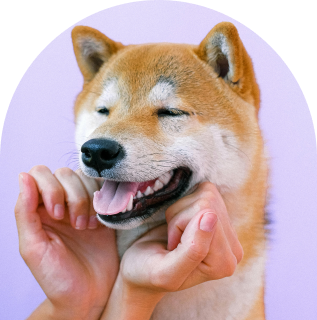 Čuvar sa ljubimcima